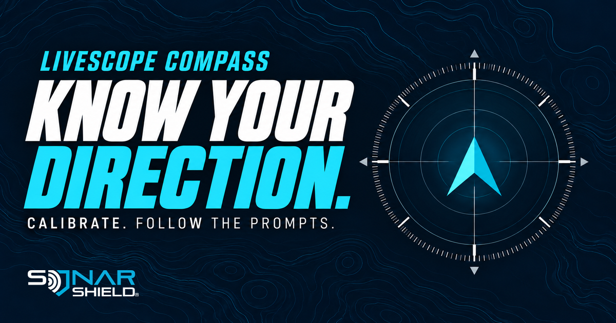 LiveScope compass guide artwork with a conceptual direction arrow and Know Your Direction headline