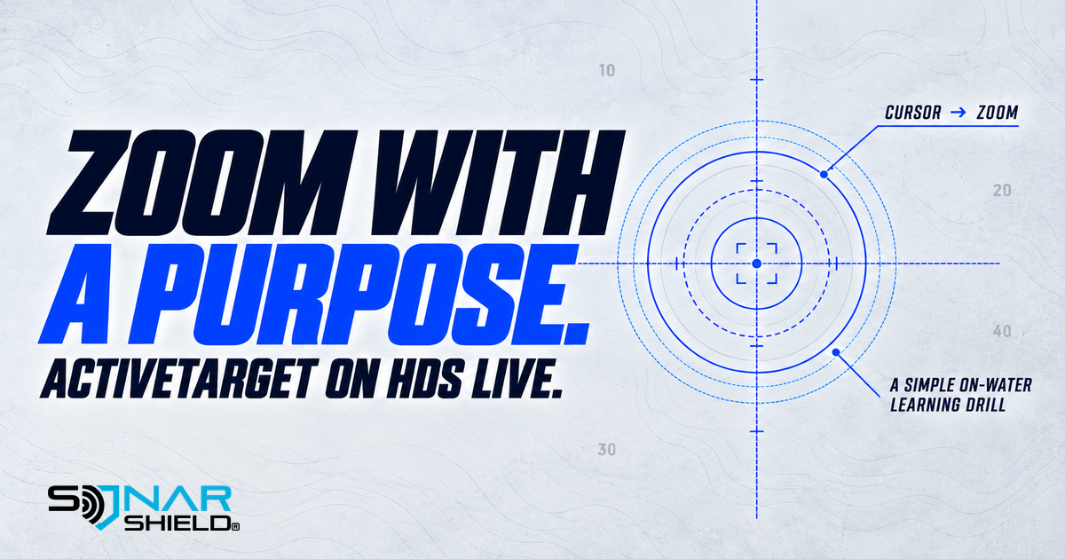 Zoom With a Purpose ActiveTarget HDS Live educational graphic with conceptual cursor rings, not a sonar screenshot